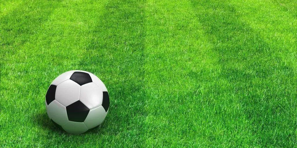 篮球球队追踪场景